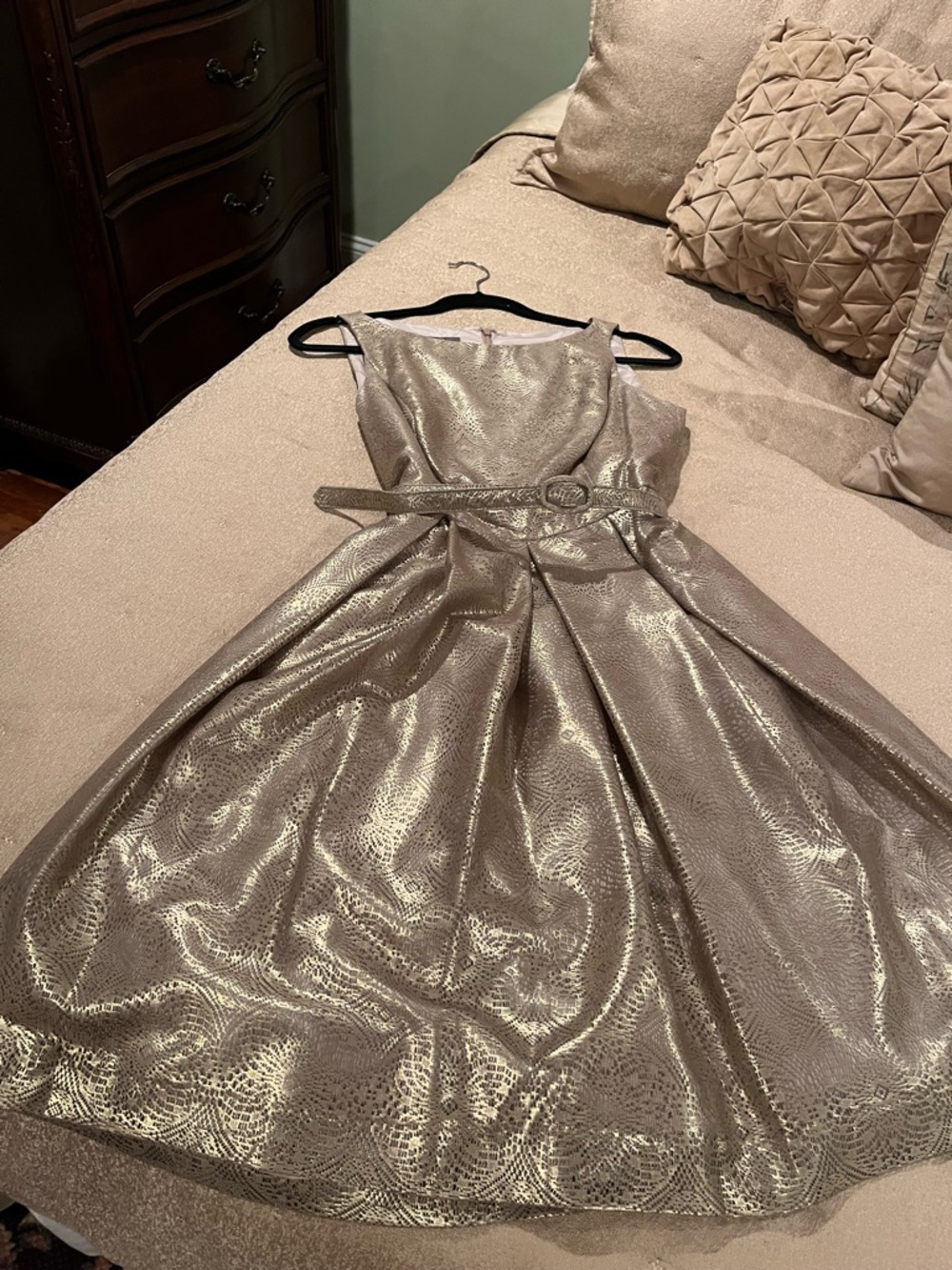 Muse Metallic Gold Fit-and-Flare Party Dress with Belt with pockets